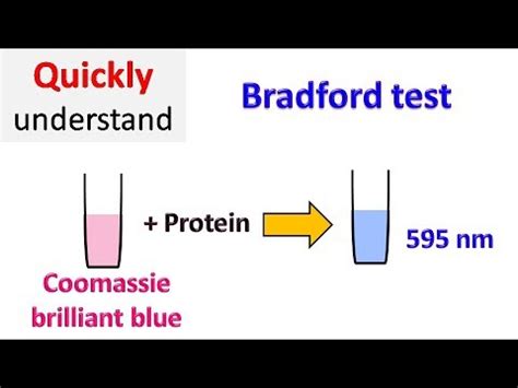 blood test bradford|Iba pa.